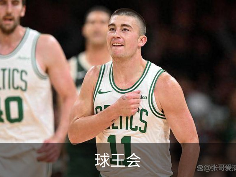 了解球王会